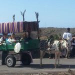 Romería Los Dolores, Mancha Blanca, Lanzarote, Pilgrin Cart iwth Donkey