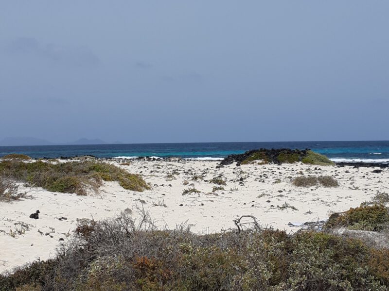 Caletón Blanco _ Lanzarote