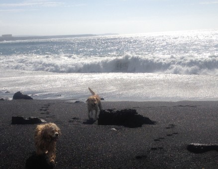 Janubio 2 _ Lanzarote